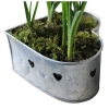Aluminium Planters